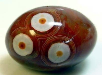 The most spectacular are the specimens, slices of which adorn the concentric layers located around the center - the pupil