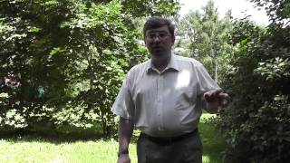 Как выбрать архитектурный проект(, 2013-06-18T10:50:25.000Z)